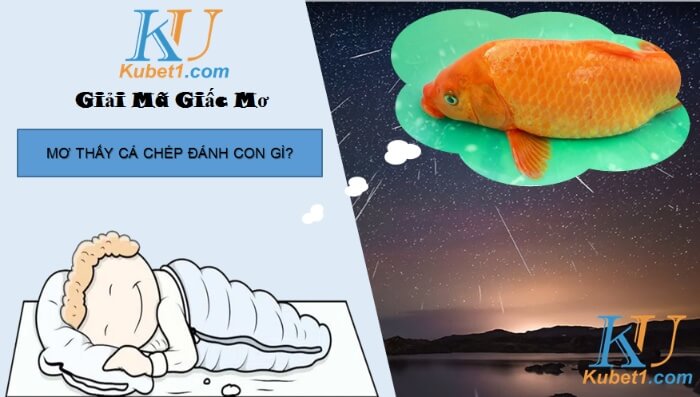 Cá chép số mấy mang về nhiều tài lộc, may mắn?