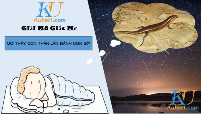 Giấc mơ con thằn lằn số mấy mang về nhiều may mắn, tài lộc?