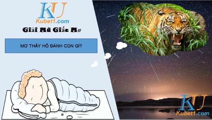 Mơ thấy hổ đánh con gì để thắng lớn với lô đề?