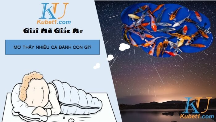 Mơ thấy nhiều cá đánh con gì, mang điềm báo lành hay dữ?